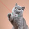 Laser Cat Toy Collar Attachment Cat Collar Laser For HandsFree Play Interactive Cat Toy For Indoor 1
