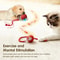 Smart Rolling Cat Ball With Tail Rechargeable Interactive Cat Toy 0
