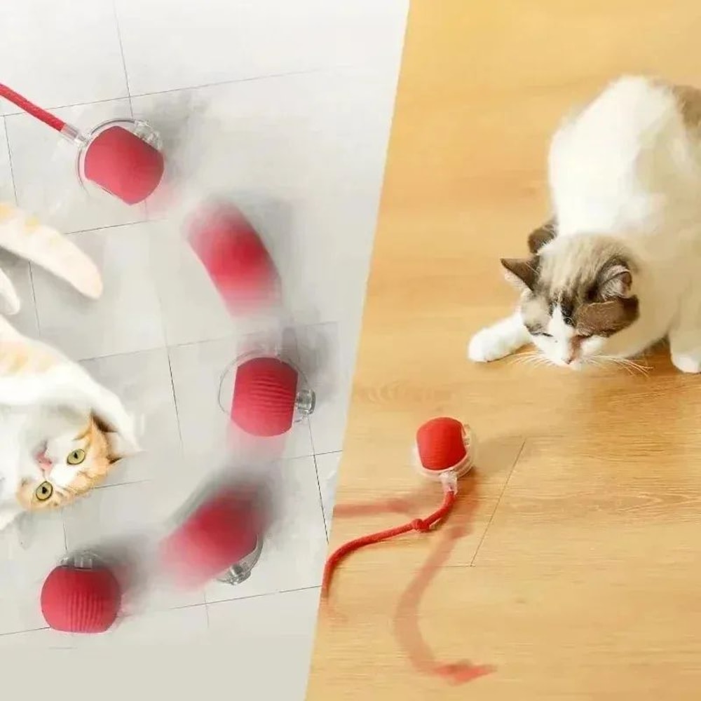 Smart Rolling Cat Ball With Tail Rechargeable Interactive Cat Toy 2