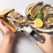 Stainless Steel Oyster Knife With Wood Handle Oyster Opener For Easy Shucking 1
