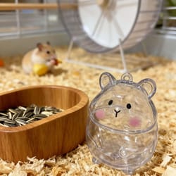 hamster fur storage keychain pet hair keepsake capsule pendant