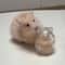 Hamster Fur Storage Keychain Pet Hair Keepsake Capsule Pendant 1