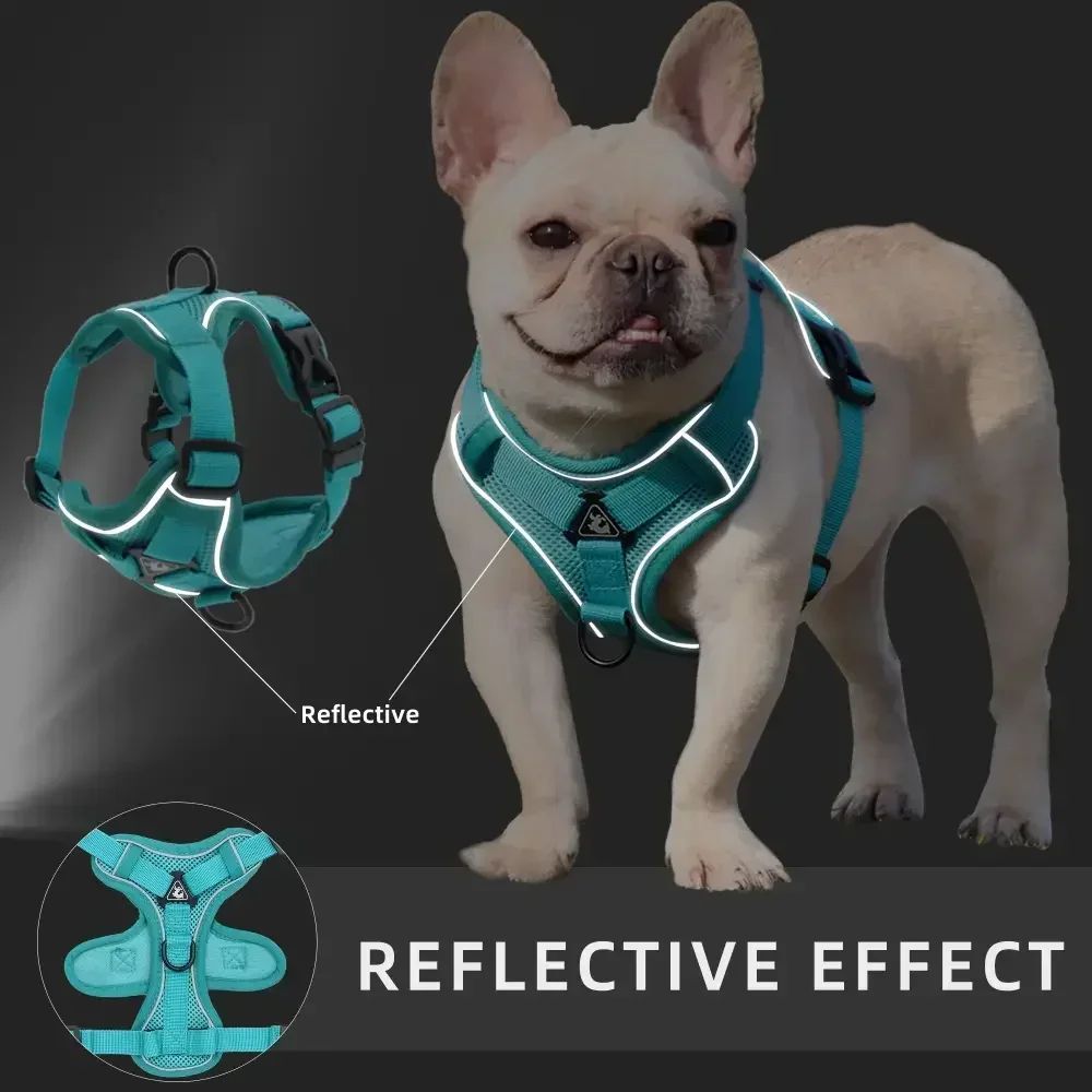 NoPull Reflective Mesh Harness Leash Set For Small Dogs And Cats Adjustable Comfort Vest 4
