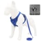 NoPull Reflective Mesh Harness Leash Set For Small Dogs And Cats Adjustable Comfort Vest 8