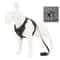 NoPull Reflective Mesh Harness Leash Set For Small Dogs And Cats Adjustable Comfort Vest 6