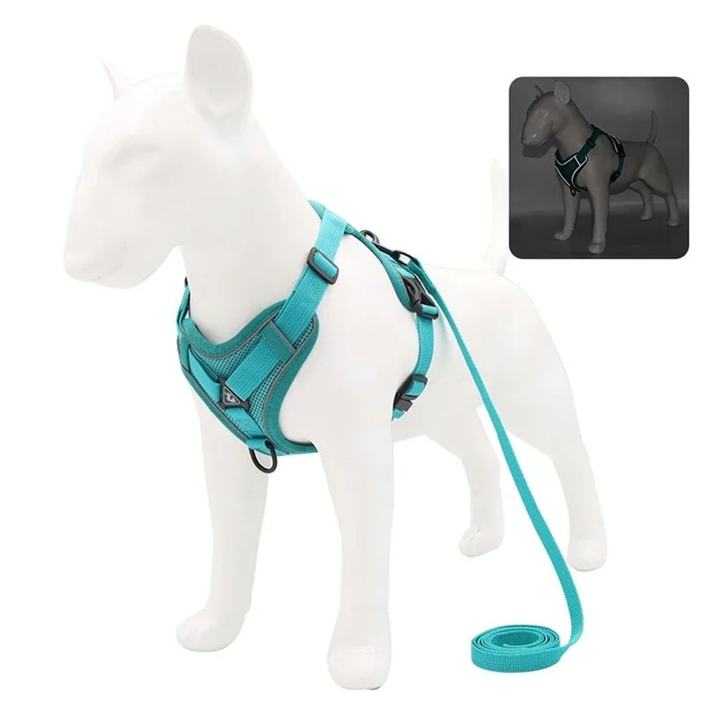 NoPull Reflective Mesh Harness Leash Set For Small Dogs And Cats Adjustable Comfort Vest 10