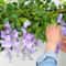 708Inch Artificial Wisteria Garland Vine For Wedding Arches Gardens And Hanging Decor 3