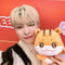 Aniteez Plush Doll ATEEZ Plush Keychain Kawaii Stuffed Animal Room Decor Collectible 13