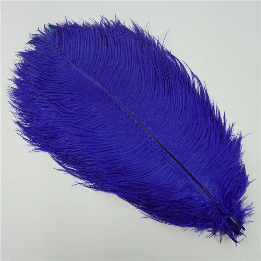 10Pack Colored Ostrich Feathers For Crafts Wedding Centerpieces 620in 9