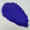 10Pack Colored Ostrich Feathers For Crafts Wedding Centerpieces 620in 9
