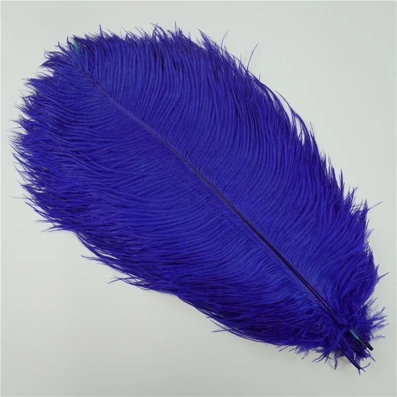 10Pack Colored Ostrich Feathers For Crafts Wedding Centerpieces 620in 9