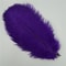 10Pack Colored Ostrich Feathers For Crafts Wedding Centerpieces 620in 10
