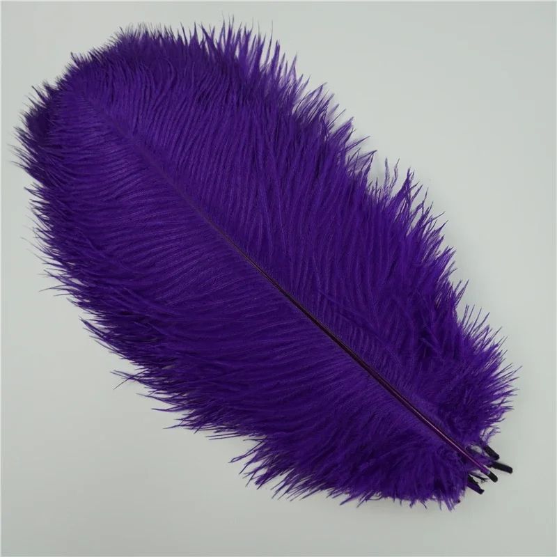 10Pack Colored Ostrich Feathers For Crafts Wedding Centerpieces 620in 10