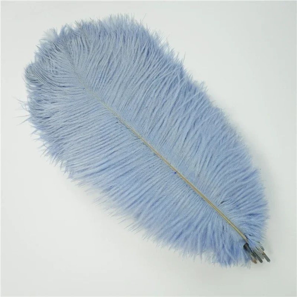 10Pack Colored Ostrich Feathers For Crafts Wedding Centerpieces 620in 12