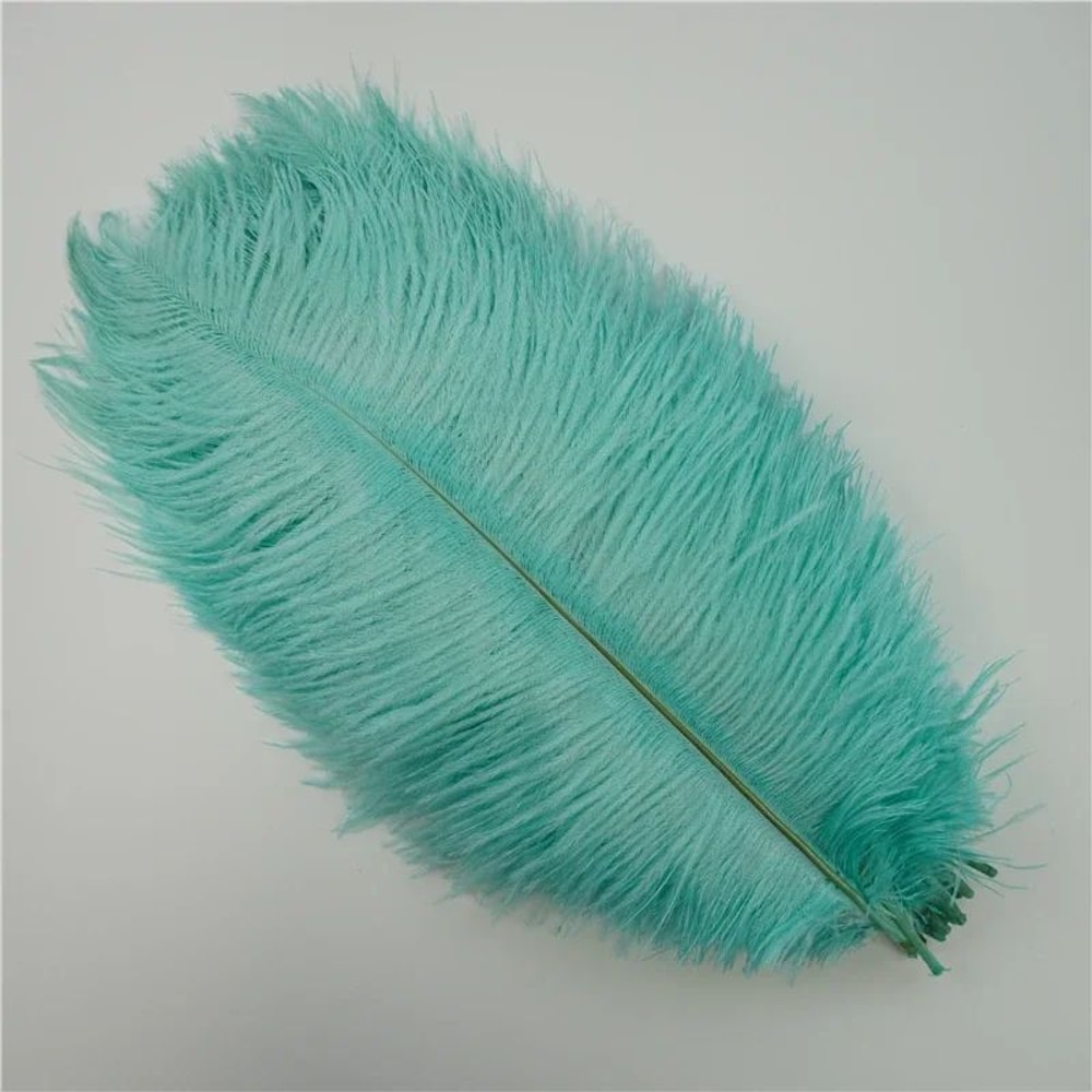 10Pack Colored Ostrich Feathers For Crafts Wedding Centerpieces 620in 13