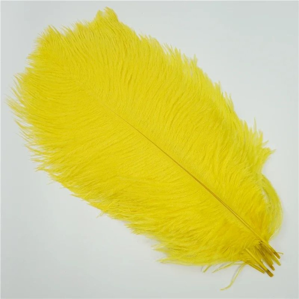 10Pack Colored Ostrich Feathers For Crafts Wedding Centerpieces 620in 5