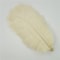 10Pack Colored Ostrich Feathers For Crafts Wedding Centerpieces 620in 14