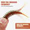 Tanta Soft Plastic Worm Bait 49mm Or 65mm For Bass And Carp 5