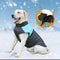WarmShield Dog Hoodie Coat For Cold Weather Walks Winter Dog Coat Large Dog Clothes Outdoor Pet Ja 3