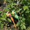Vivid Feathered Artificial Bird Decorations 6Pack Colorful Garden Ornaments With Long Tails 4