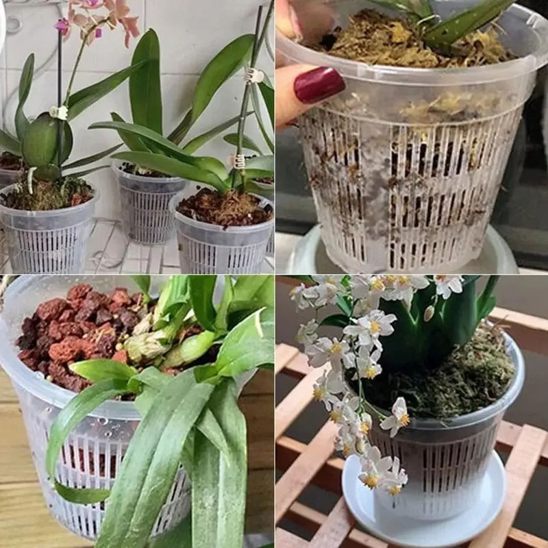 Breathable Mesh Orchid Pots Transparent Root Control Flowerpots With Drainage 5Pack 2
