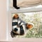 Peeking Raccoon Window Cling Sticker Static Cling Window Decal For Cute Home Decor 0