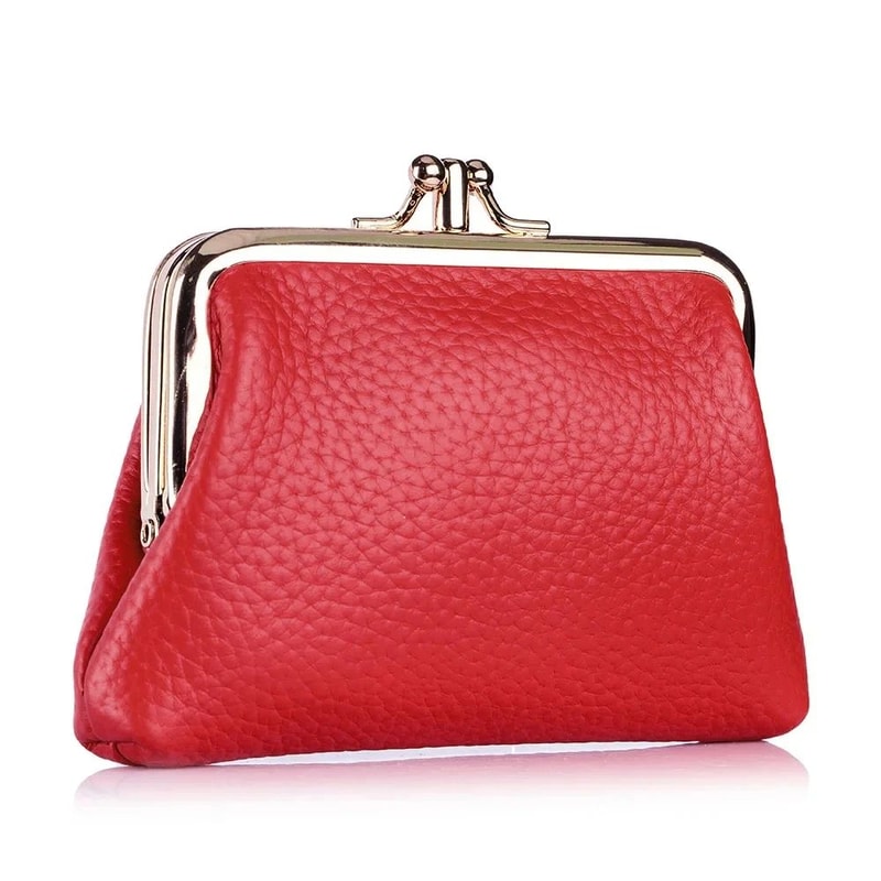 Everyday Genuine Leather Womens Wallet Small Hasp Coin Purse With Roomy Change Storage 16