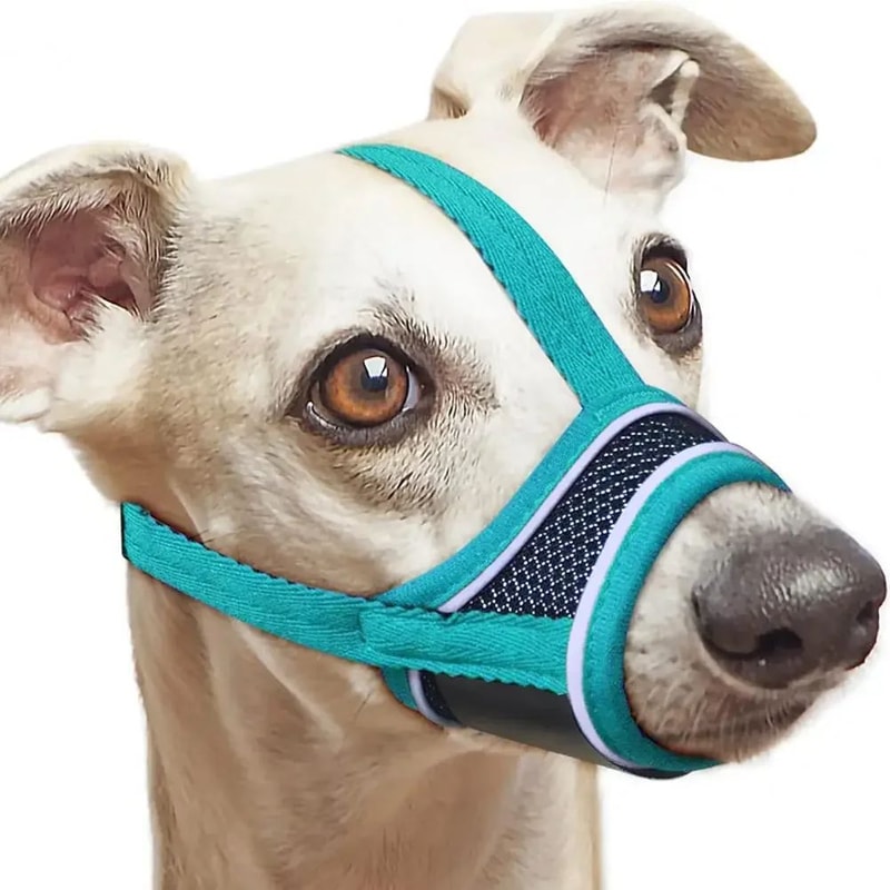 Breathable Adjustable Dog Muzzle For Calm Walks Safer Handling 1