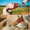 Breathable Adjustable Dog Muzzle For Calm Walks Safer Handling 2