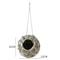 Woven Grass Hanging Bird Nest House For Parrots Small Birds 4