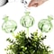Glass SelfWatering Plant Bulbs Automatic Watering Globes For Indoor Plants 3