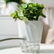 SmartGrow Transparent Self Watering Planter Hydroponic Flower Pot Automatic WaterAbsorbing Indoor 2