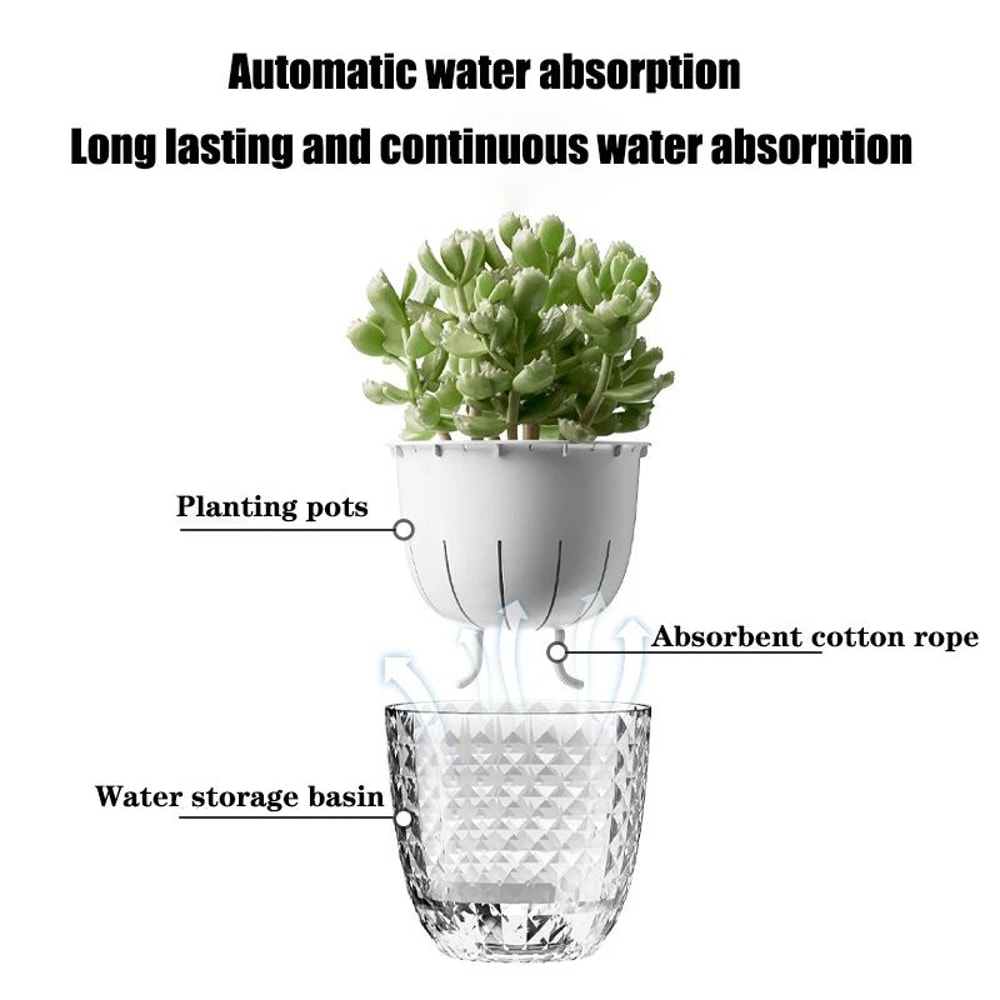 ClearView SelfWatering Planter Pot Double Layer Transparent Pot For Succulents And Small Plants 2