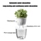 ClearView SelfWatering Planter Pot Double Layer Transparent Pot For Succulents And Small Plants 2