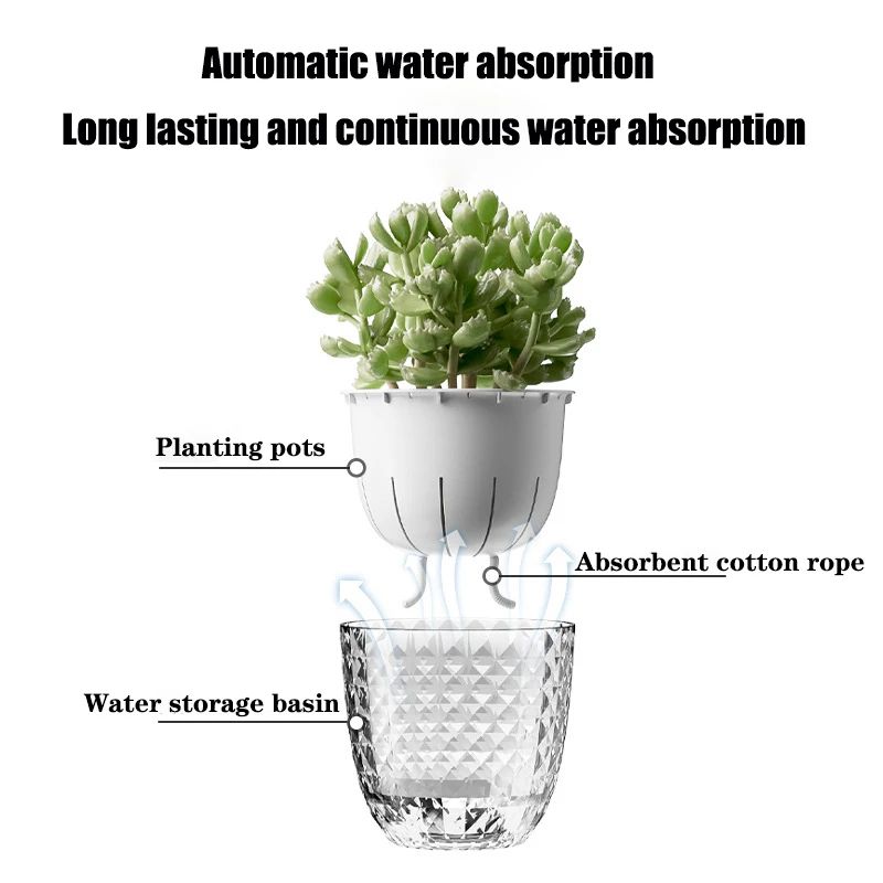 ClearView SelfWatering Planter Pot Double Layer Transparent Pot For Succulents And Small Plants 2