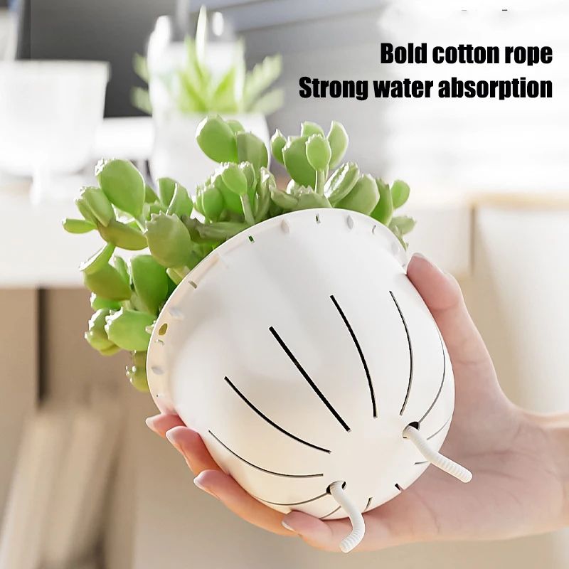 ClearView SelfWatering Planter Pot Double Layer Transparent Pot For Succulents And Small Plants 4