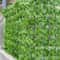 LushView Artificial Green Leaf Privacy Fence For Balcony Garden 0