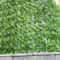 LushView Artificial Green Leaf Privacy Fence For Balcony Garden 3