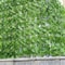 LushView Artificial Green Leaf Privacy Fence For Balcony Garden 3