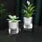 SelfWatering Hydroponic Planter Pot For Indoor Succulents And Tabletop Decor 0