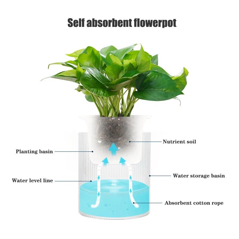 SelfWatering Hydroponic Planter Pot For Indoor Succulents And Tabletop Decor 4