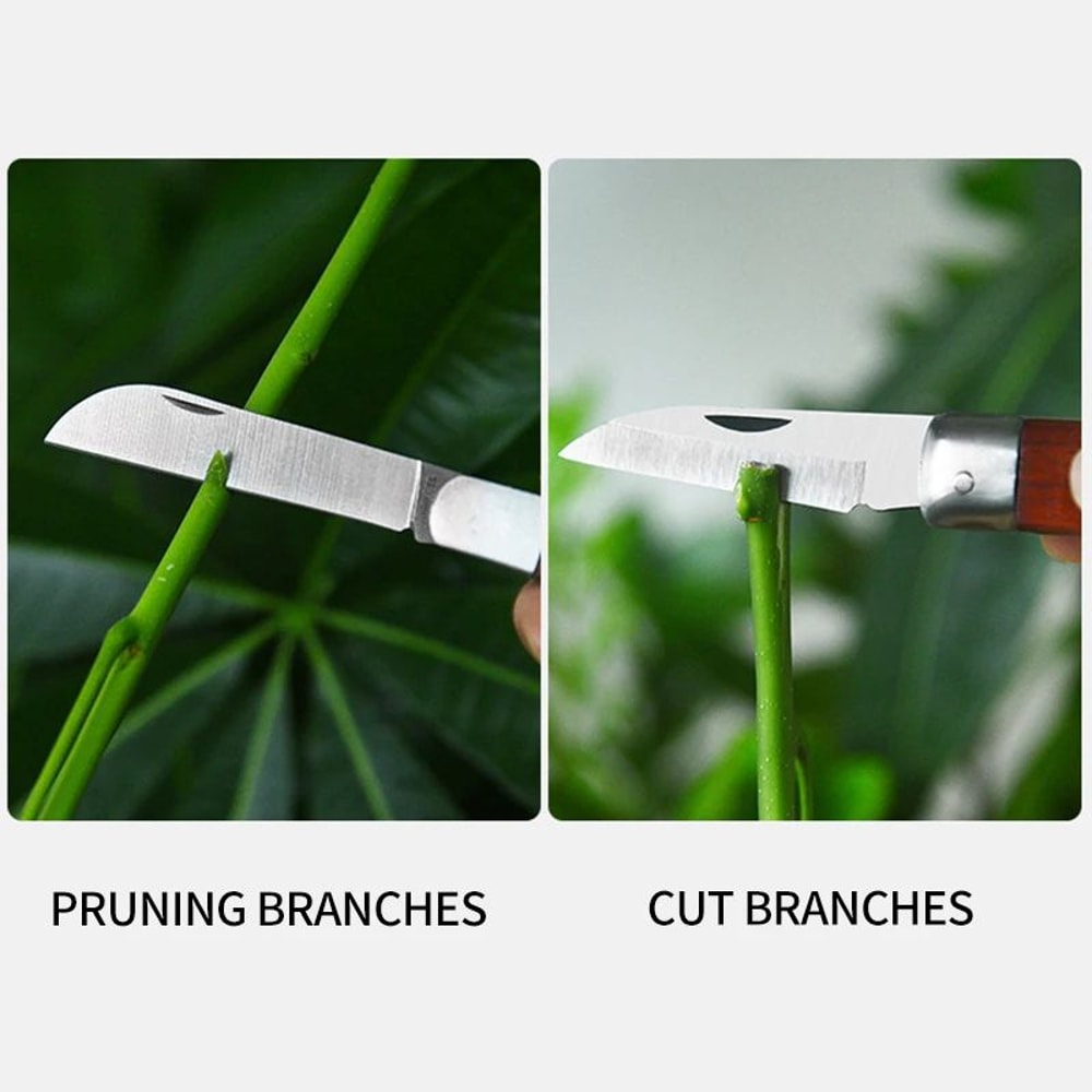 Premium Folding Grafting Scissors Tool HeavyDuty Stainless Steel Gardening Knife For Precision Cu 4
