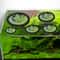EVA Foam Aquarium Feeding Ring Set 5 Sizes Floating Plant Corral Pack Of 5 1