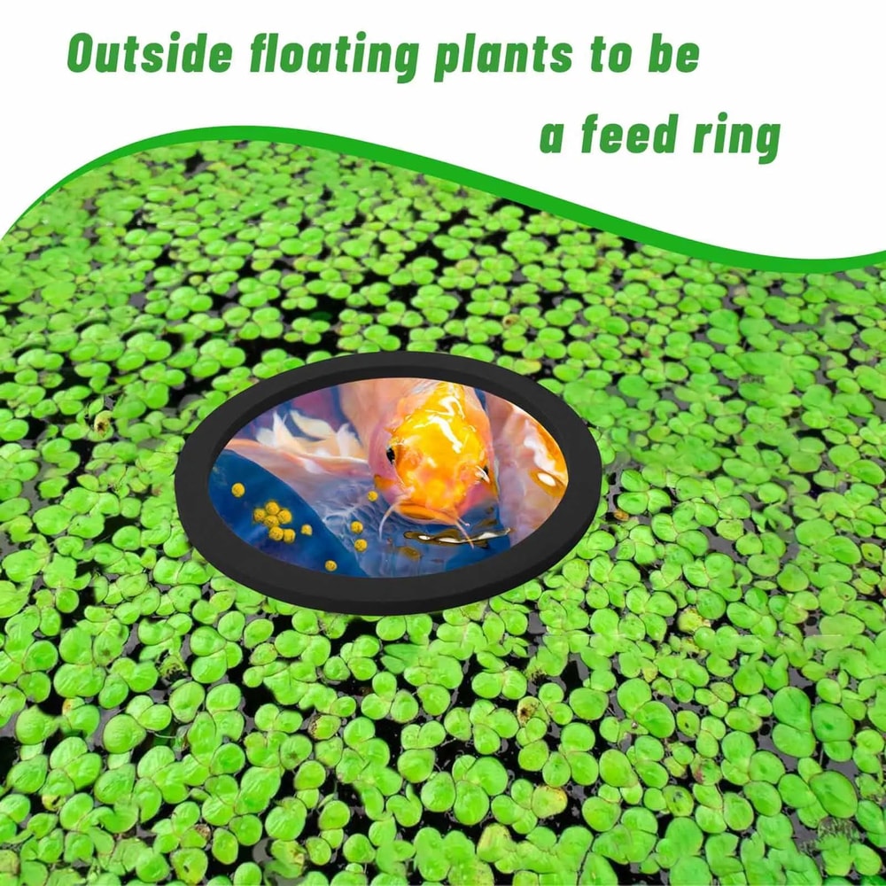 EVA Foam Aquarium Feeding Ring Set 5 Sizes Floating Plant Corral Pack Of 5 4