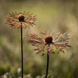 rustic bluebonnet metal garden stake, weathered iron yard art accent