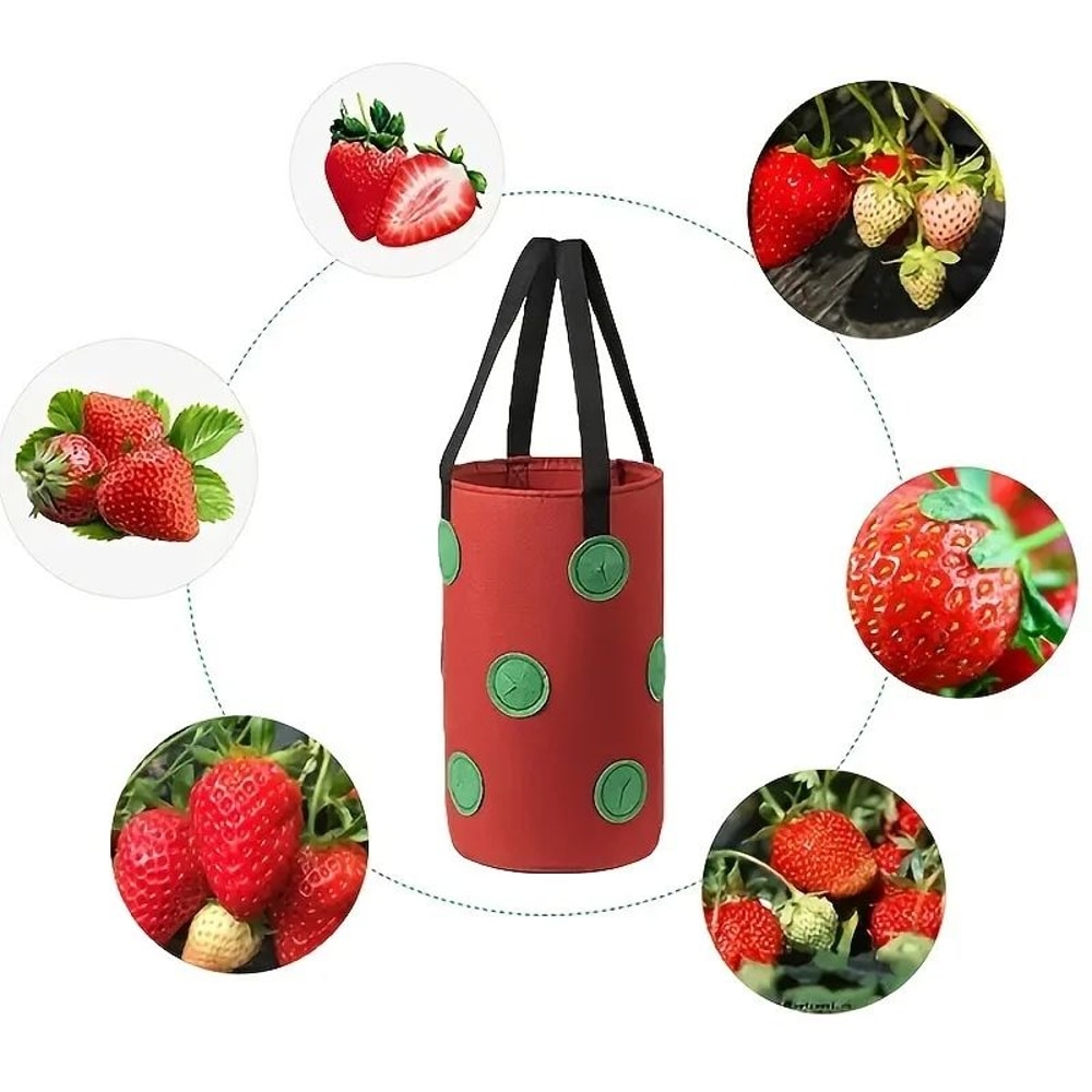 Premium Vertical Garden Hanging Grow Bag Planter 13Hole Felt Planting System 4