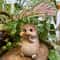 Cute Resin Leaf Umbrella Hedgehog Garden Statue Whimsical Outdoor Animal Decor Figurine 1