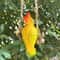 Tropical Parrot Garden Hanging Statue Resin Outdoor Animal Decor With Wooden Swing 1