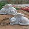 Angel Pet Statue Resin Garden Ornament For Outdoor Decor Cat Or Dog With Wings 0