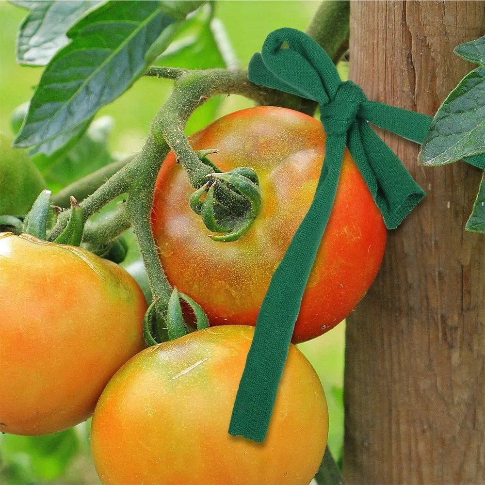 Garden ClimbPro Plant Support Straps Durable Plant Support Ties For Vines Vegetables 2